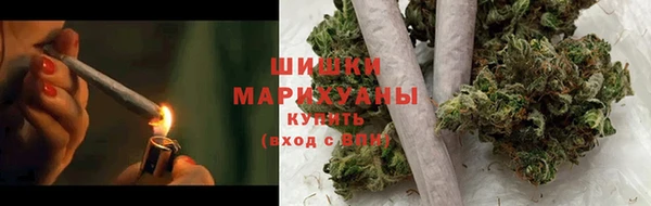 гидра Мегион