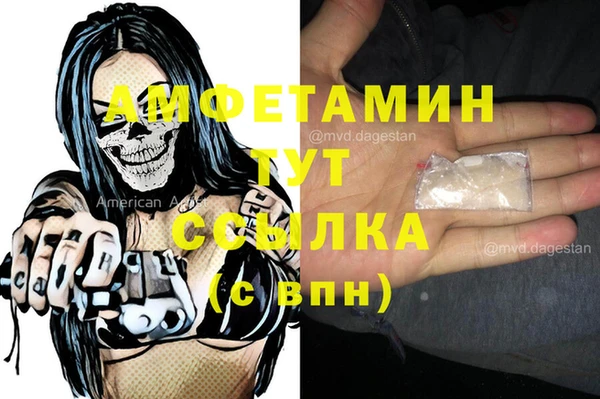 гидра Мегион