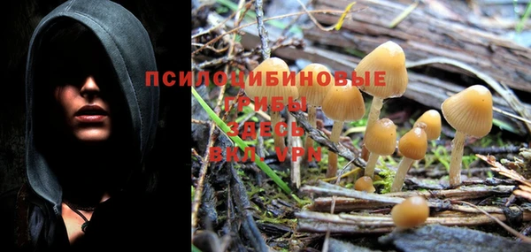 гидра Мегион