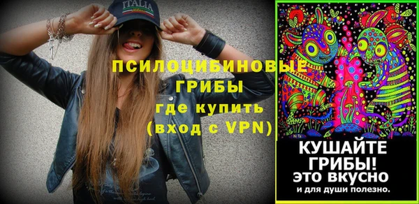 PSILOCYBIN Медногорск