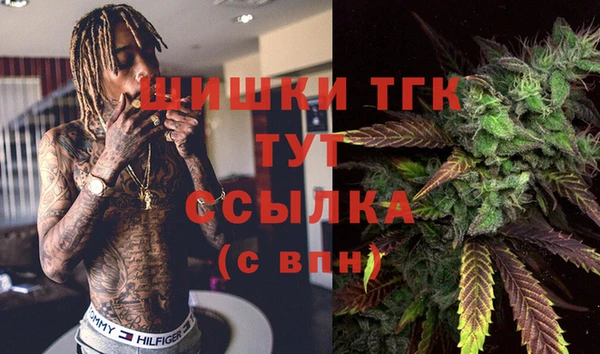 МДПВ Медвежьегорск